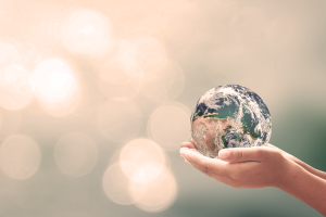 hero image coindivination